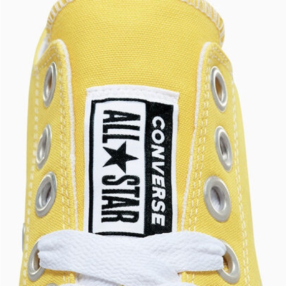 Converse Chuck Taylor All Star Low 'Sketch - Golden Wren'  A10360F - Picture 7 of 13